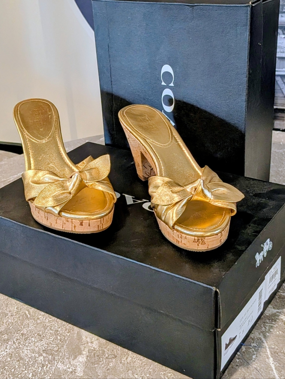 Coach Y2K Karen Leather Platform Sandals